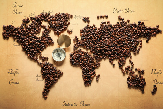 Discovering the World of Coffee Bean Origins & Types: A Beginner's Guide
